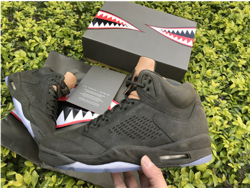Air Jordan 5 Premium Take Flight